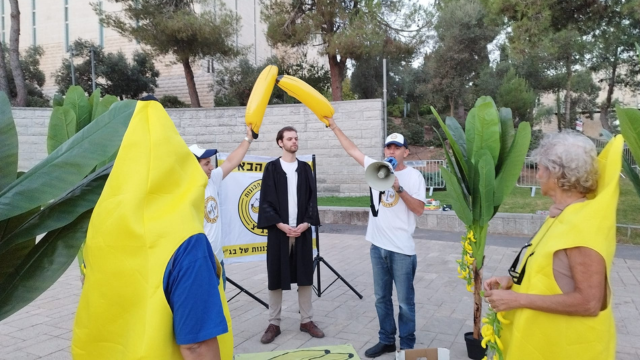 פעילי המחאה מול בית המשפט העליון