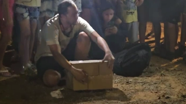 התנשמת שנלכדה בזמן השחרור