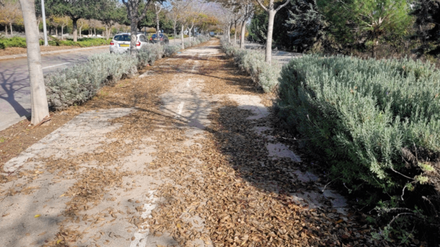 "מוזנח". אחד משבילי ההליכה בעיר