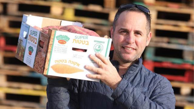 גיא דוד "מר בטטה"