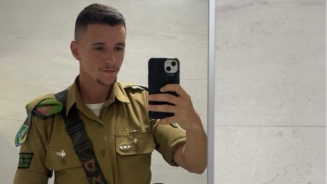 טל לוי