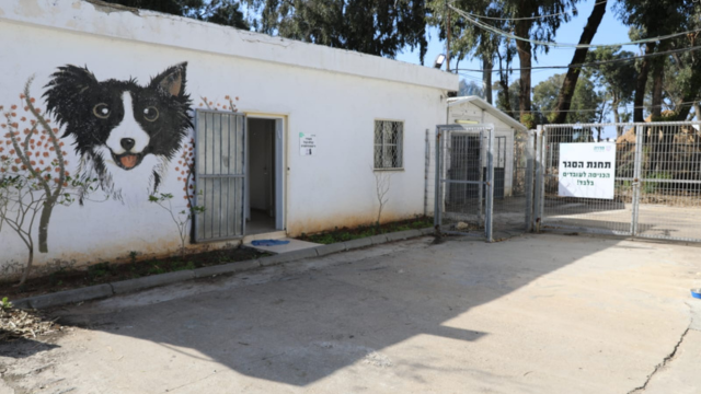 הכלביה העירונית. תוכשר