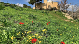 גבעת התנ״ך