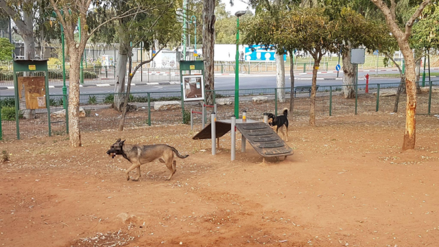 גינת כלבים ברחוב השופר פתח תקוה