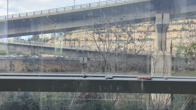 מתוך התערוכה 'דרך נחל ראיתי עולם'