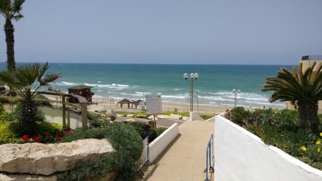 חוף זבולון