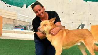 רוחה בן דהן וחבר על ארבע