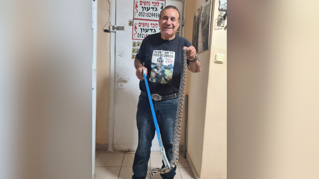 גדעון דעבול עם הנחש