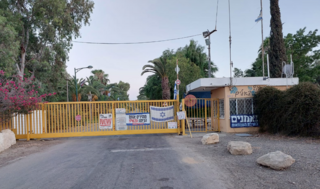 קיבוץ צאלים