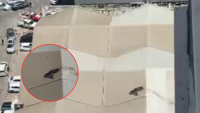 פגיעה בקניון עכו