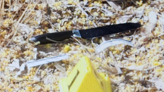 הסכין ששימשה לרצח ויקטוריה שיידורוב