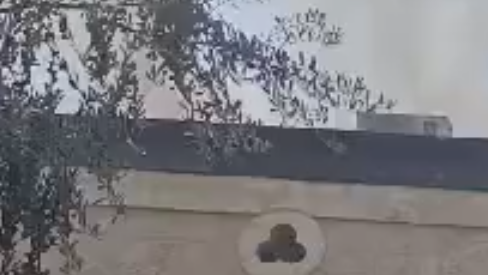 השריפה בבניין