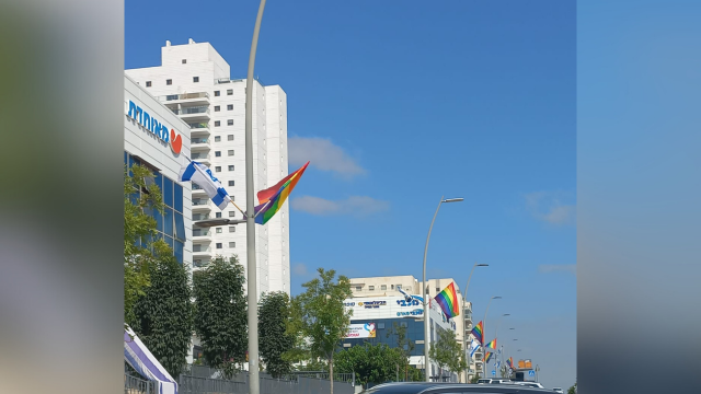 דגלי הגאווה בראש העין