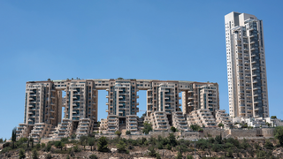 ״הולילנד״
