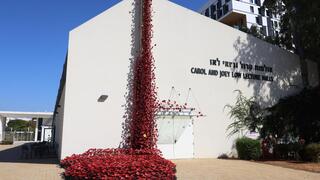מיצג "כלניות לפני הגשם" ברייכמן