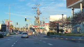 רחוב לישנסקי בראשון לציון