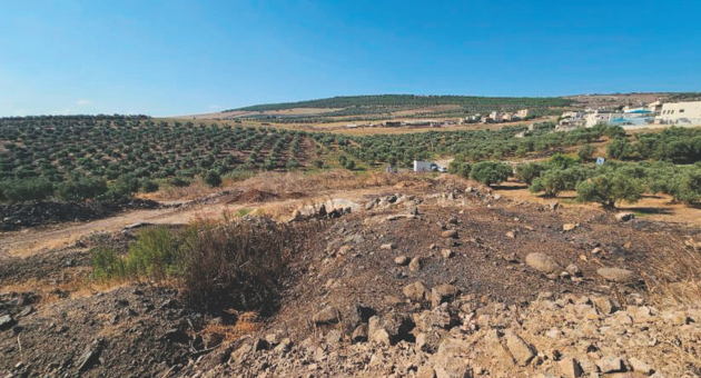 השטח שעליו יוקם הפארק בסמוך לנחל שומר