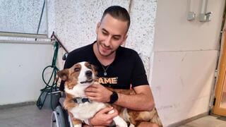 משה ויצמן