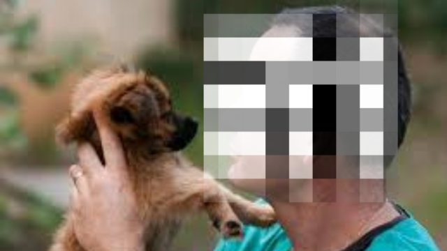 הווטרינר החשוד בהעלמת מס