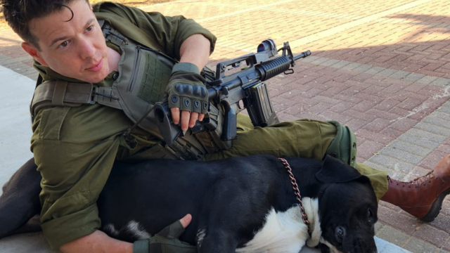 נועם פנרסקי. המילואימניק שמציל כלבים במלחמה
