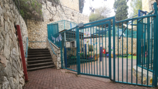 צהרון גן גורים