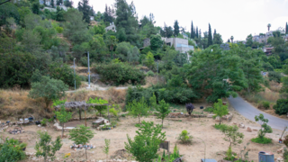כאן יעבור הצינור. עמק התימנים