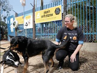 עמותת "ראשון אוהבת חיות" ברחובות