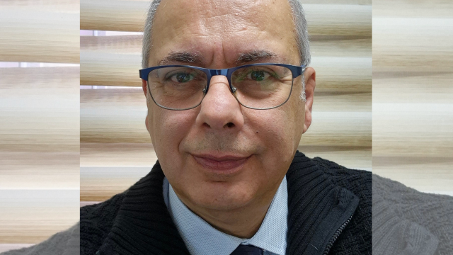 עו"ד שי חמו