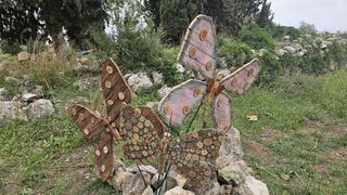 מטיילים ליד הבית במודיעין. אמנות בין הברושים 