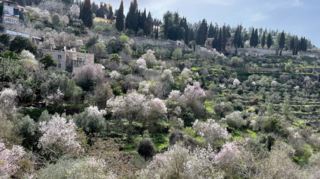 אזור נחל שורק