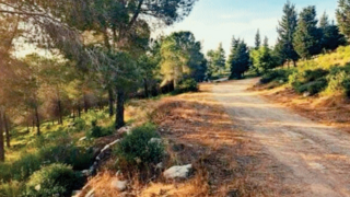 האזור שבו אמור להיסלל שביל האופניים
