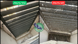 חברת גרין קלין מייעצים