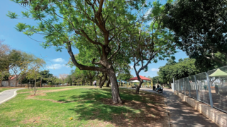צילום: צפריר אביוב 