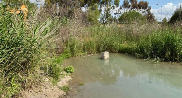 בריכת שכשוך. מצב קיים