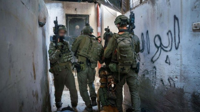 פעילות צה"ל בטול כרם