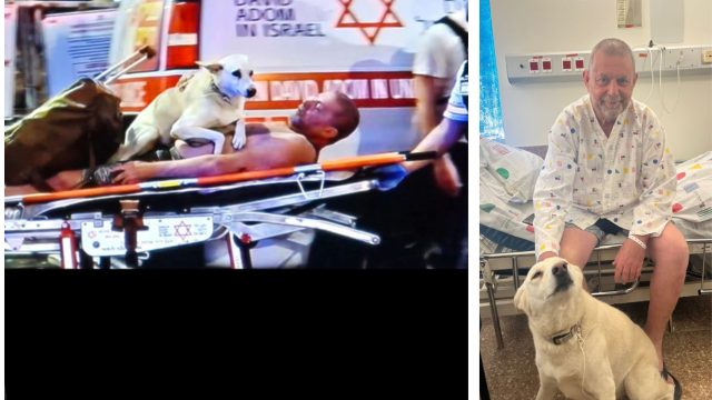 חנן זינגלבוים וכלבתו בבית החולים וולפסון
