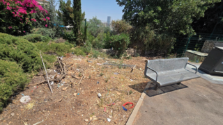 העצים נעקרו למגינת לב התושבים של רמות