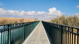 גשר הצינורות