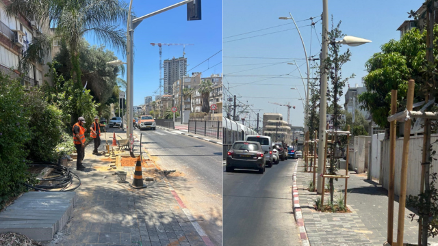 נטיעת עצים ברחוב אורלוב פתח תקוה