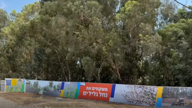 העצים סביב השכונה