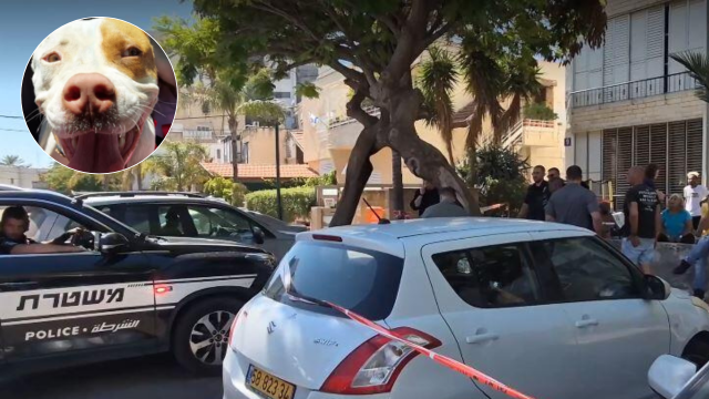 התפתחות דרמטית בפרשת התינוקת שננשכה למוות בקרית ביאליק