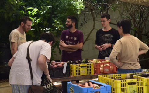 מיזם הירקות בנחלאות, גלעד שוורץ שני מימין
