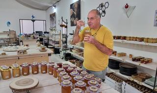 שי ספקטור. הכוורת 