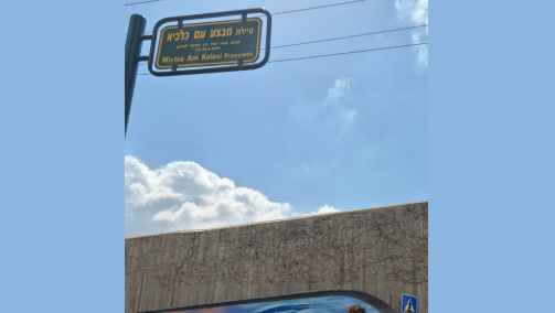 טיילת מבצע "עם כלביא"