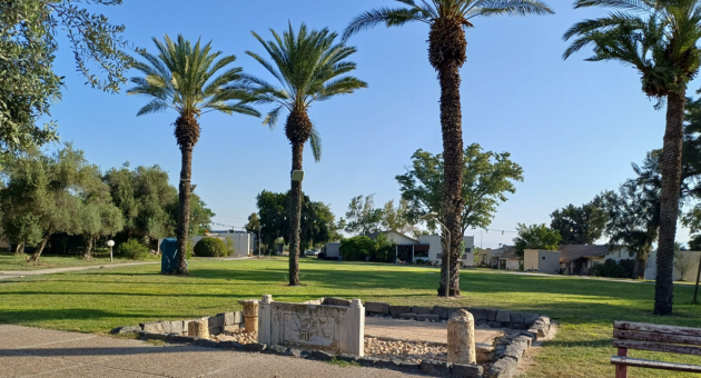 הרחבה ליד בית הכנסת 
