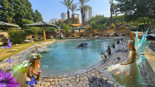 פסטיבל פנטזיה בחי פארק קרית מוצקין