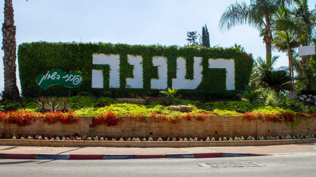 רעננה. עיר גדולה