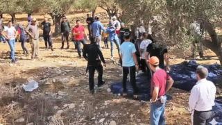 המסיק של תושבי רמות