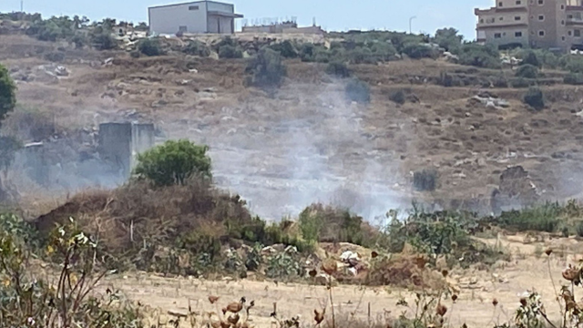 שריפות פיראטיות השבוע