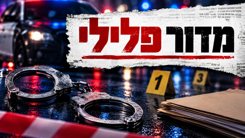 מדור פלילי